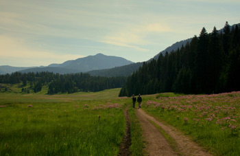 Two Anglers Walking Down the Trail