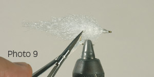 Photo 9