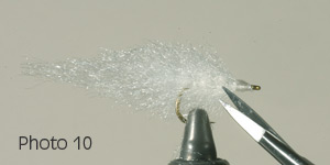 Photo 10
