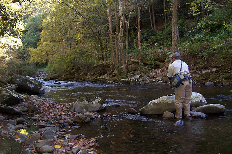 Little River Outfitters - Fly Fishing Report Archive, October 28, 2022