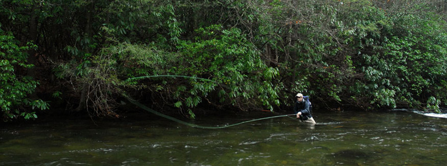 Man fly casting in Little River