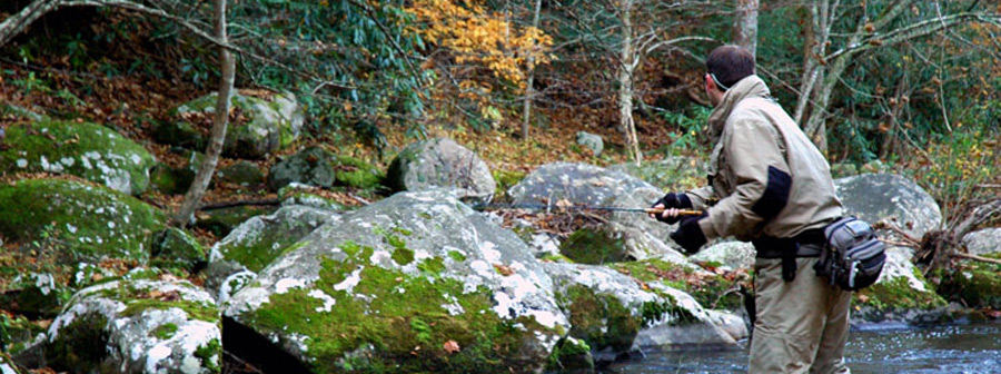 Angler fishing in the Fall